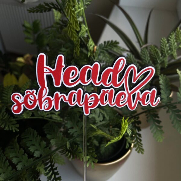 Koogitopper "Head sõbrapäeva"
